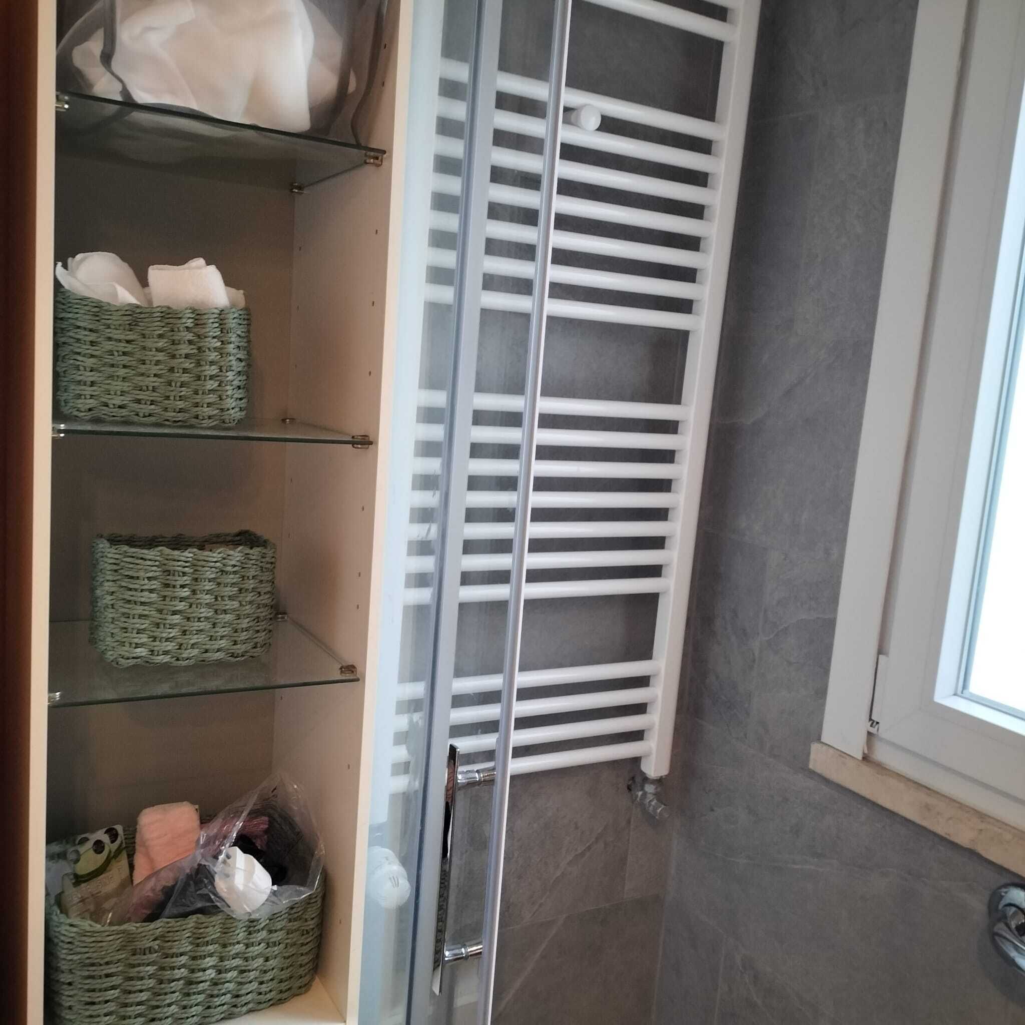 Shower, hair dryer, bidet, towels