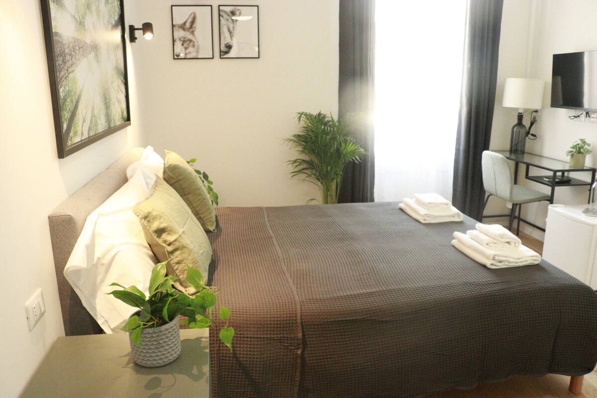 A hotel room with a bed, a desk with a plant, a chair, a TV, and a window with curtains.