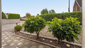 A landscaped garden with neatly trimmed hedges and a paved walkway.