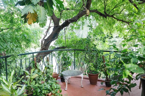 Casa Bianca by Red Olivenr Taj MG Roadpvt Garden