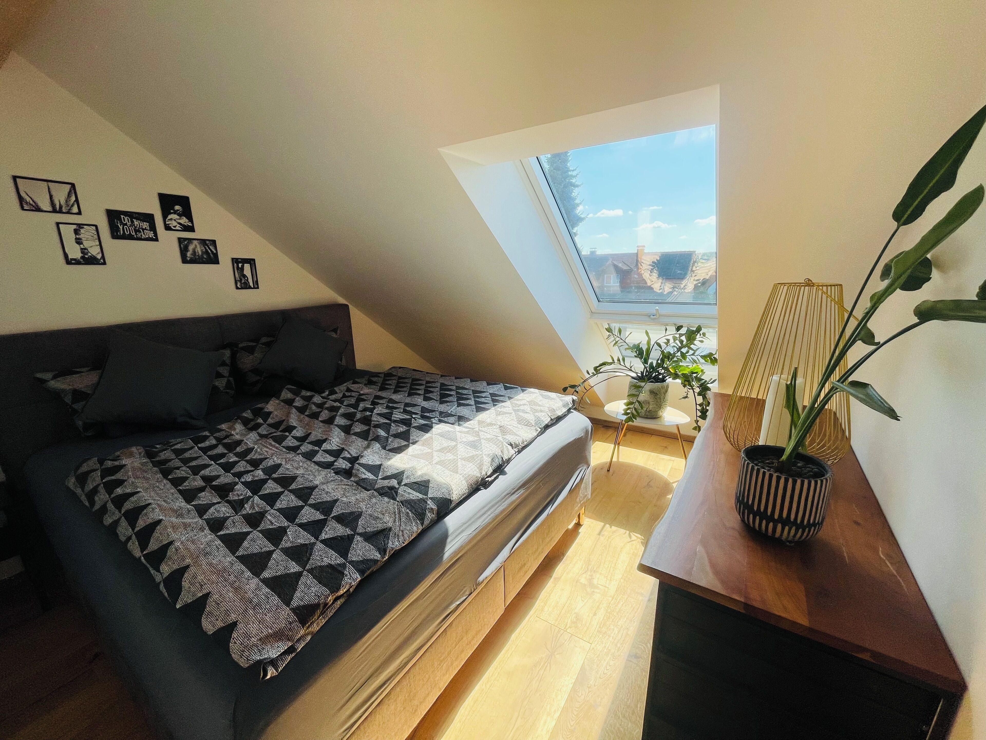 Un dormitorio con cama, tragaluz, planta en maceta y decoración en la pared.