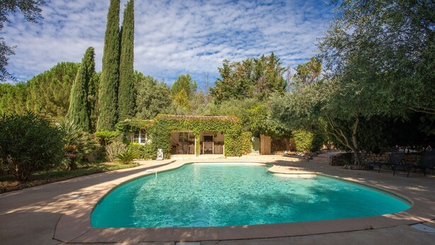 Une piscine à bordures courbes, entourée d’une terrasse en béton.