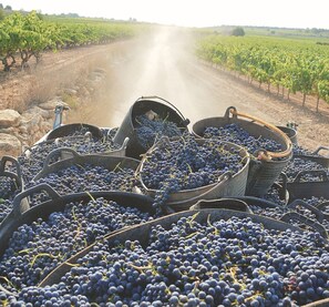 Photo non classée, 2 sur 37, bouton