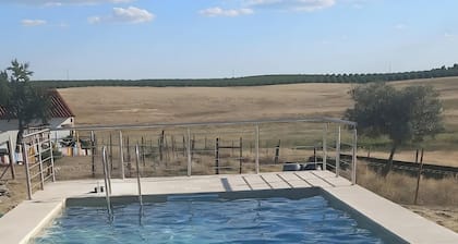 Country House Das Oliveiras with Private Terrace, Shared Garden and Air Conditioning