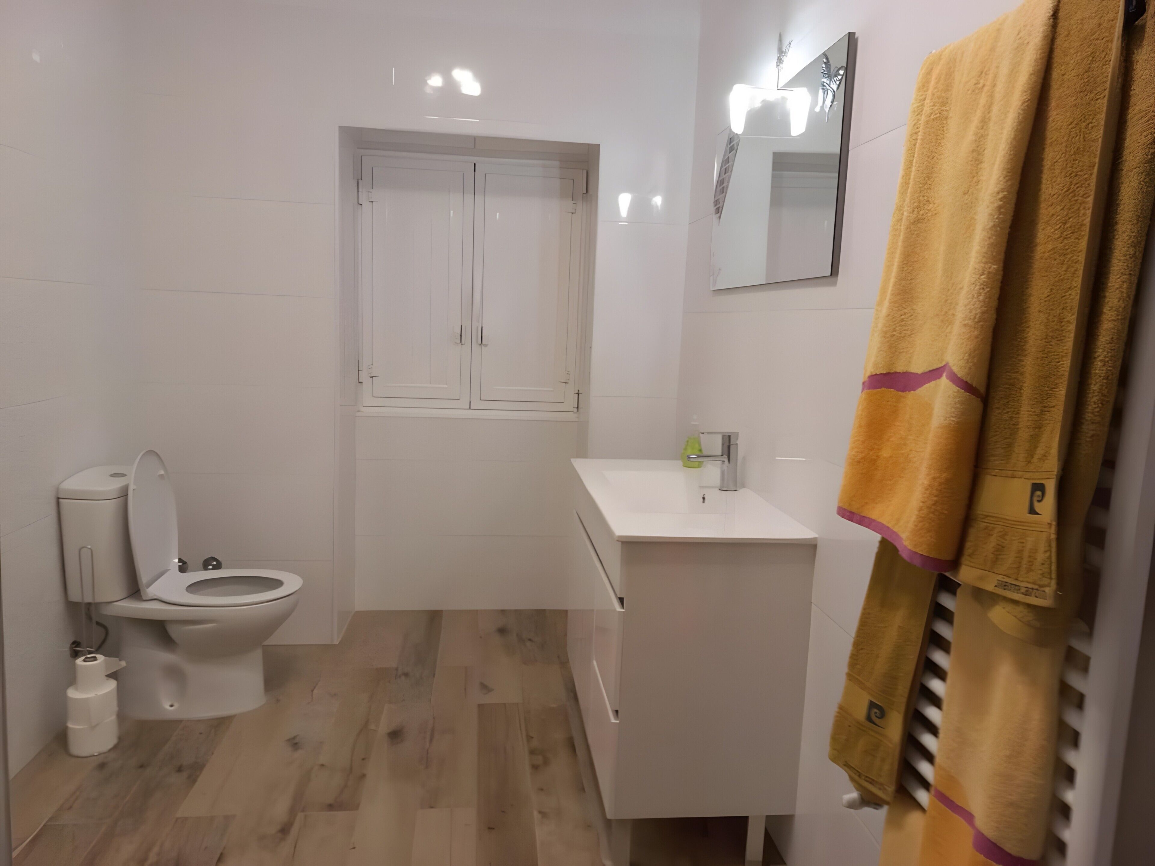 Dusche, Haartrockner, Handtücher