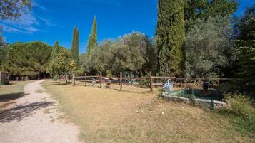 Enceinte de lâhĂ©bergement