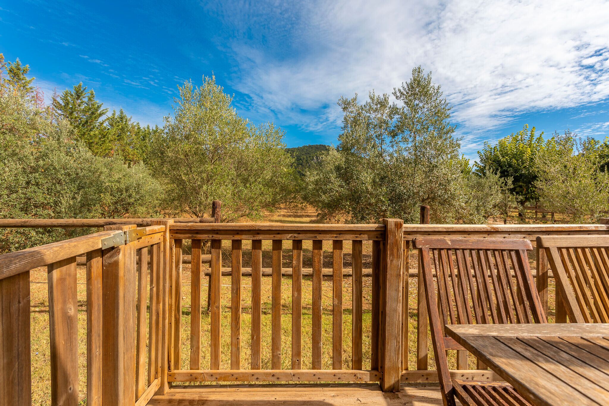 Terrein van de accommodatie