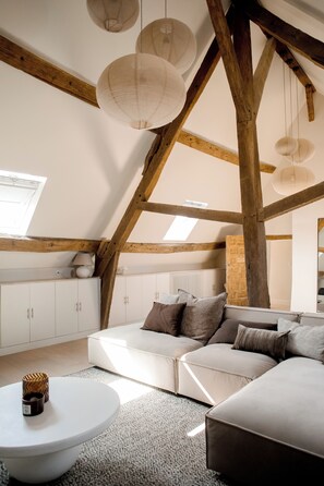 Fernseher, Kamin