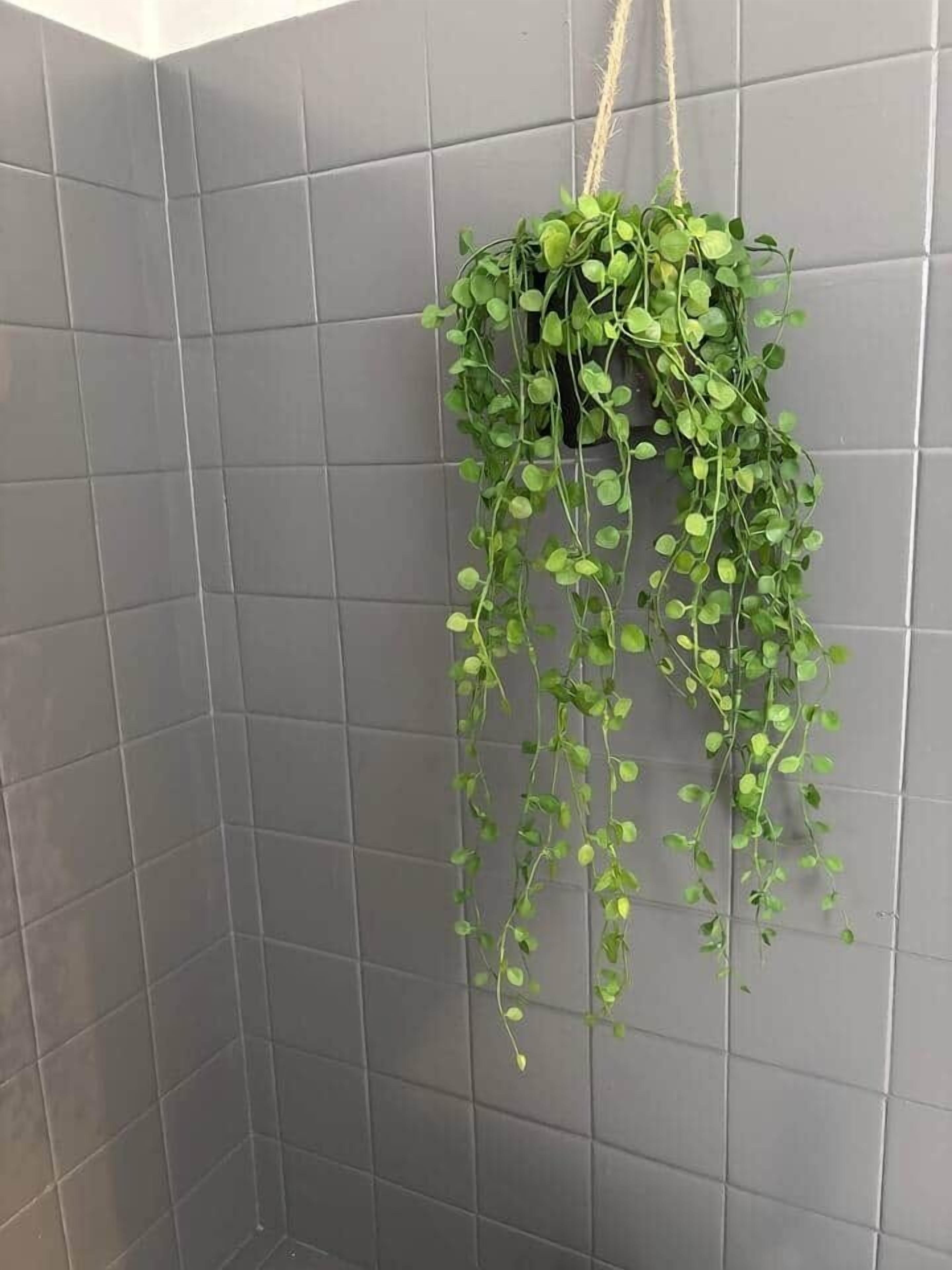 Rincón de una habitación con paredes de baldosas grises y una planta colgante con hojas verdes.