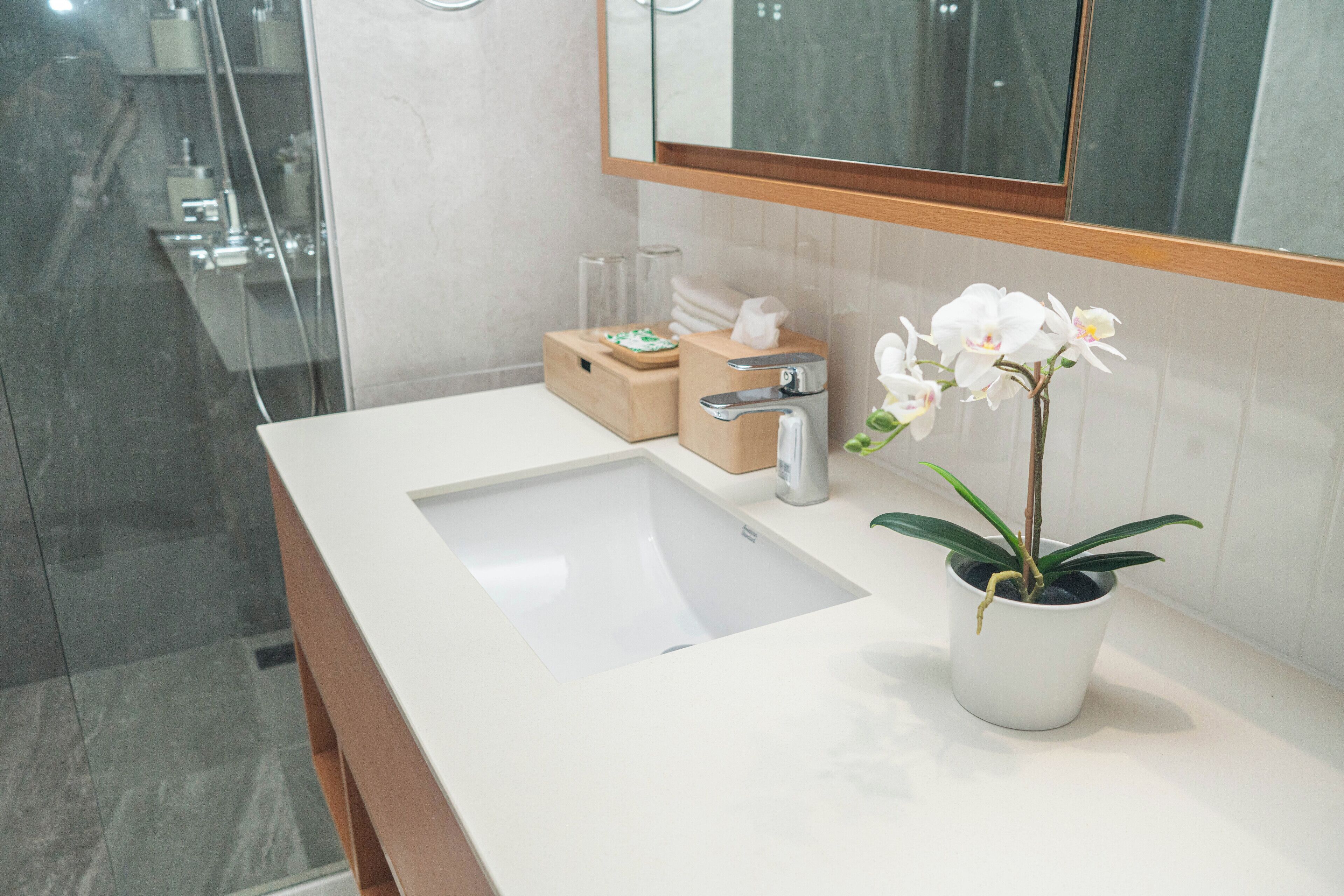 A modern bathroom with a white sink, a mirror, and a potted orchid.