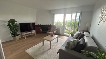 Fernseher, Kamin