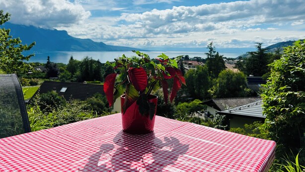 A red and white checkered table with a potted plant in the center, overlooking a scenic view of a lake and mountains. - L'Appart Riviera panoramic view (Blonay - Saint-Légier)