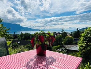 Une table à carreaux rouges et blancs, ornée d’un pot de fleurs au centre, offre une vue pittoresque sur un lac et des montagnes.
