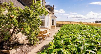 Barley Bank, a peaceful, tranquil dog-friendly retreat with a wood burning stove