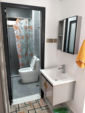 Shower, bidet, towels, soap