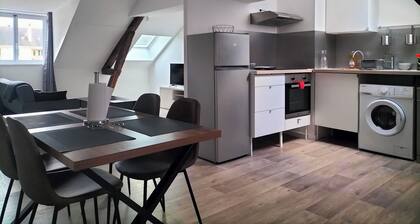 Spacieux T3 centre ville