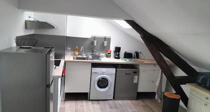 Spacious T3 city center