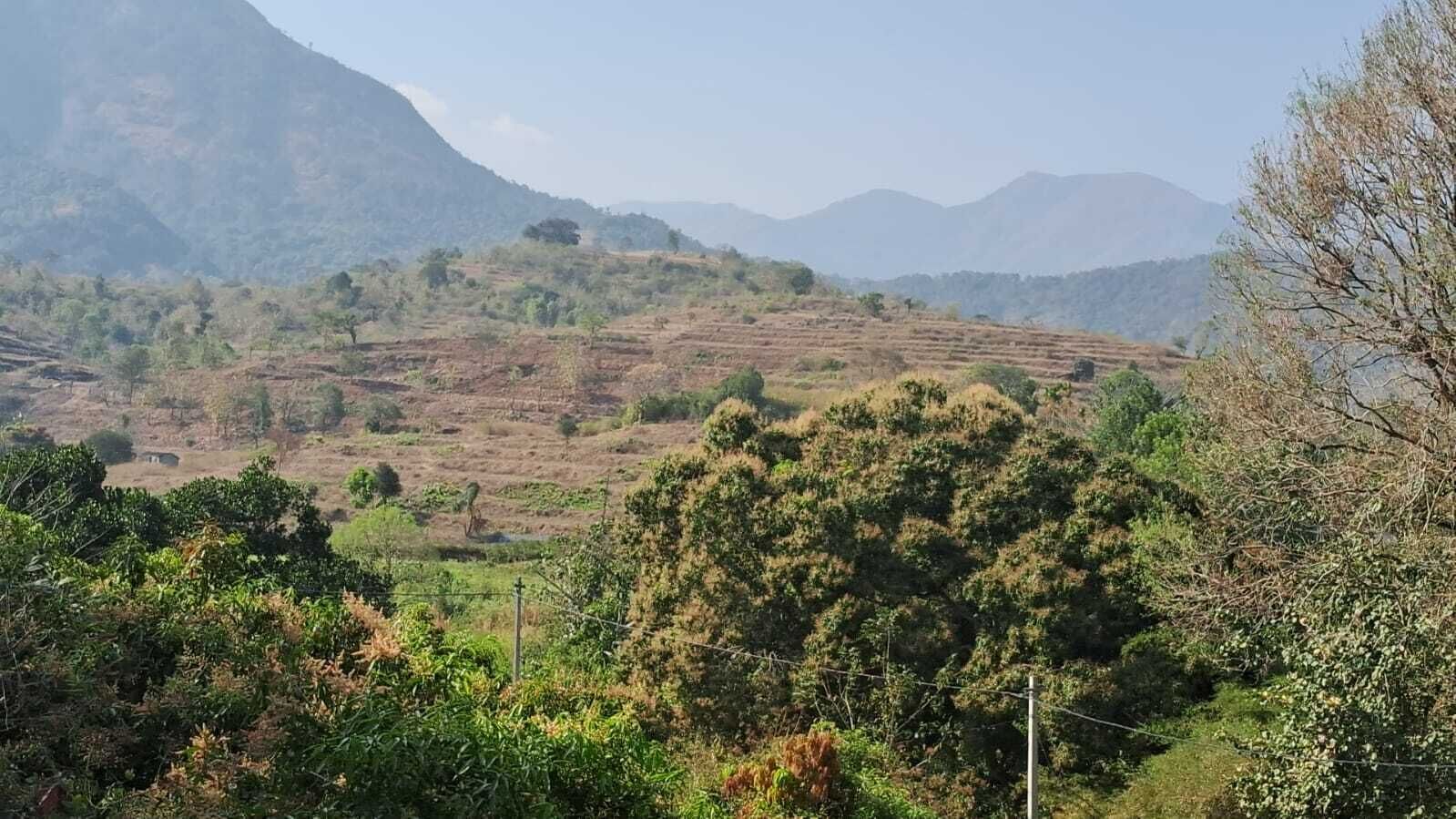 Paisaje rural con campos en terrazas, árboles y montañas a lo lejos.