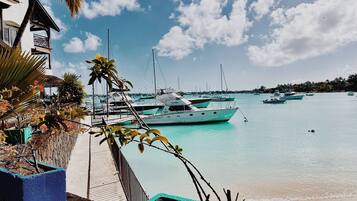 Apartment, 2 Bedrooms, Smoking, Balcony | Boating