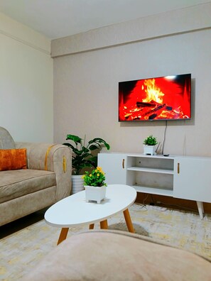 TV