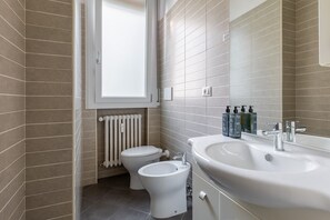 Shower, hair dryer, bidet, towels