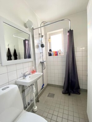 تجهيزات دش، مجففات شعر، مناشف، ورق حمّام