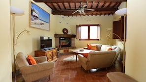 TV, fireplace