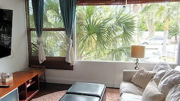 Smart TV, DVD player, books