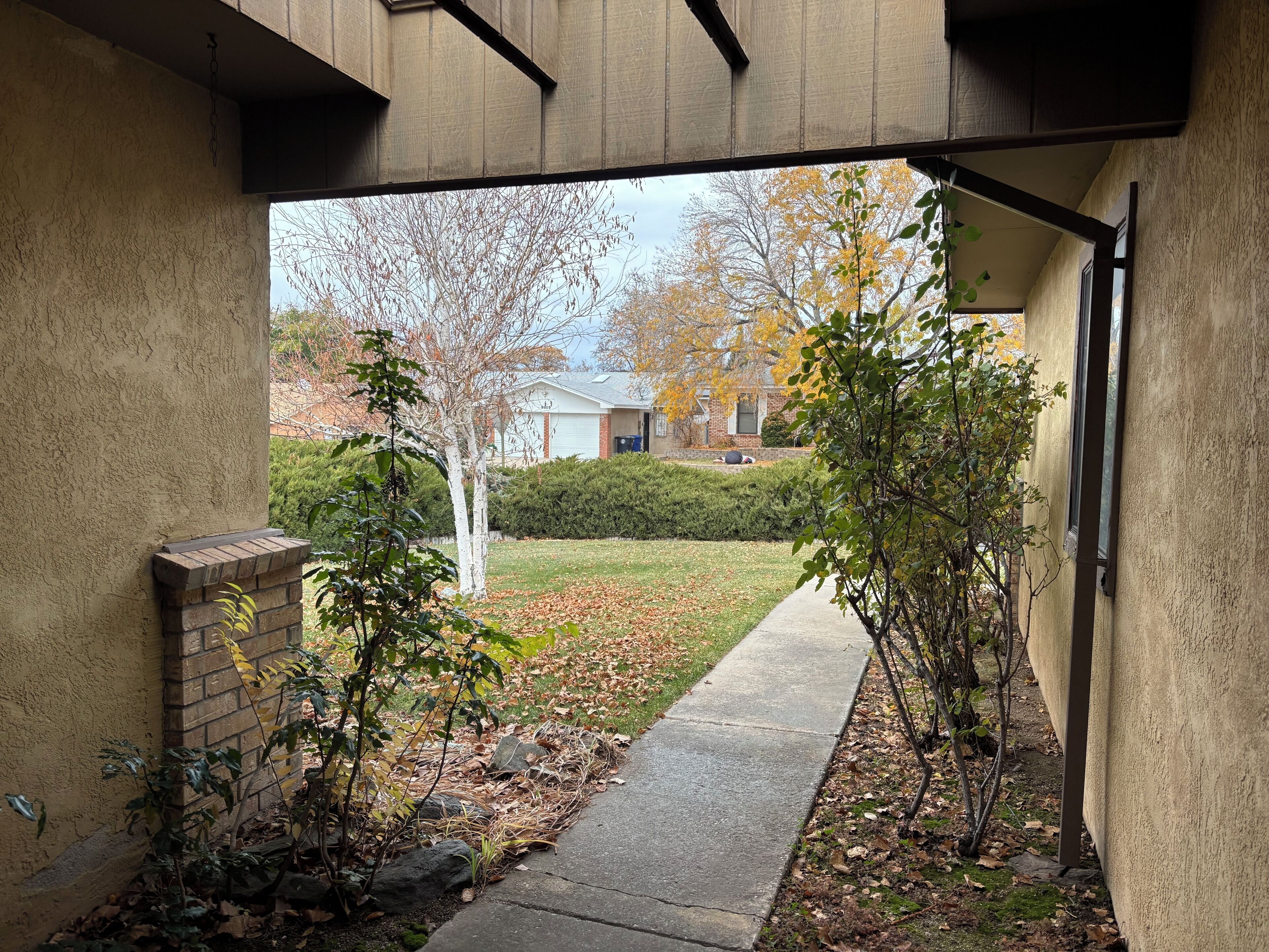 Property grounds
