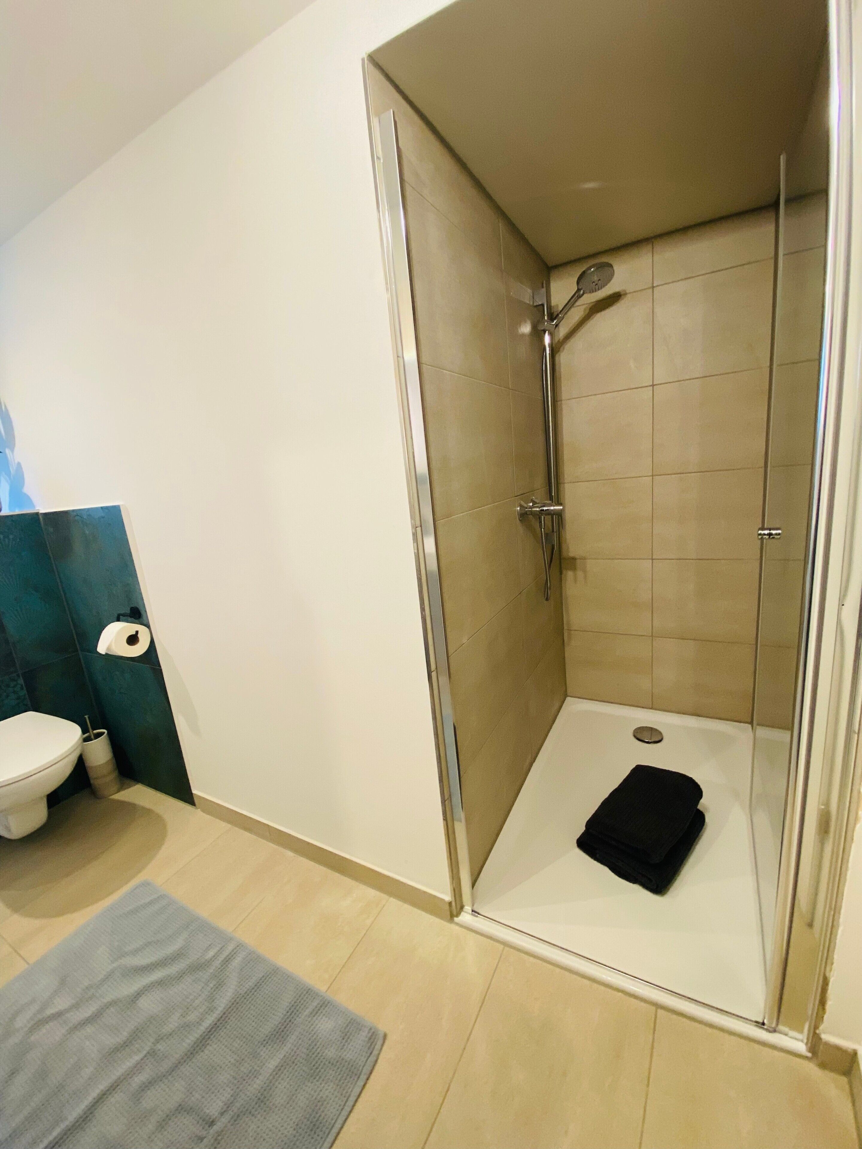Shower, hair dryer, towels