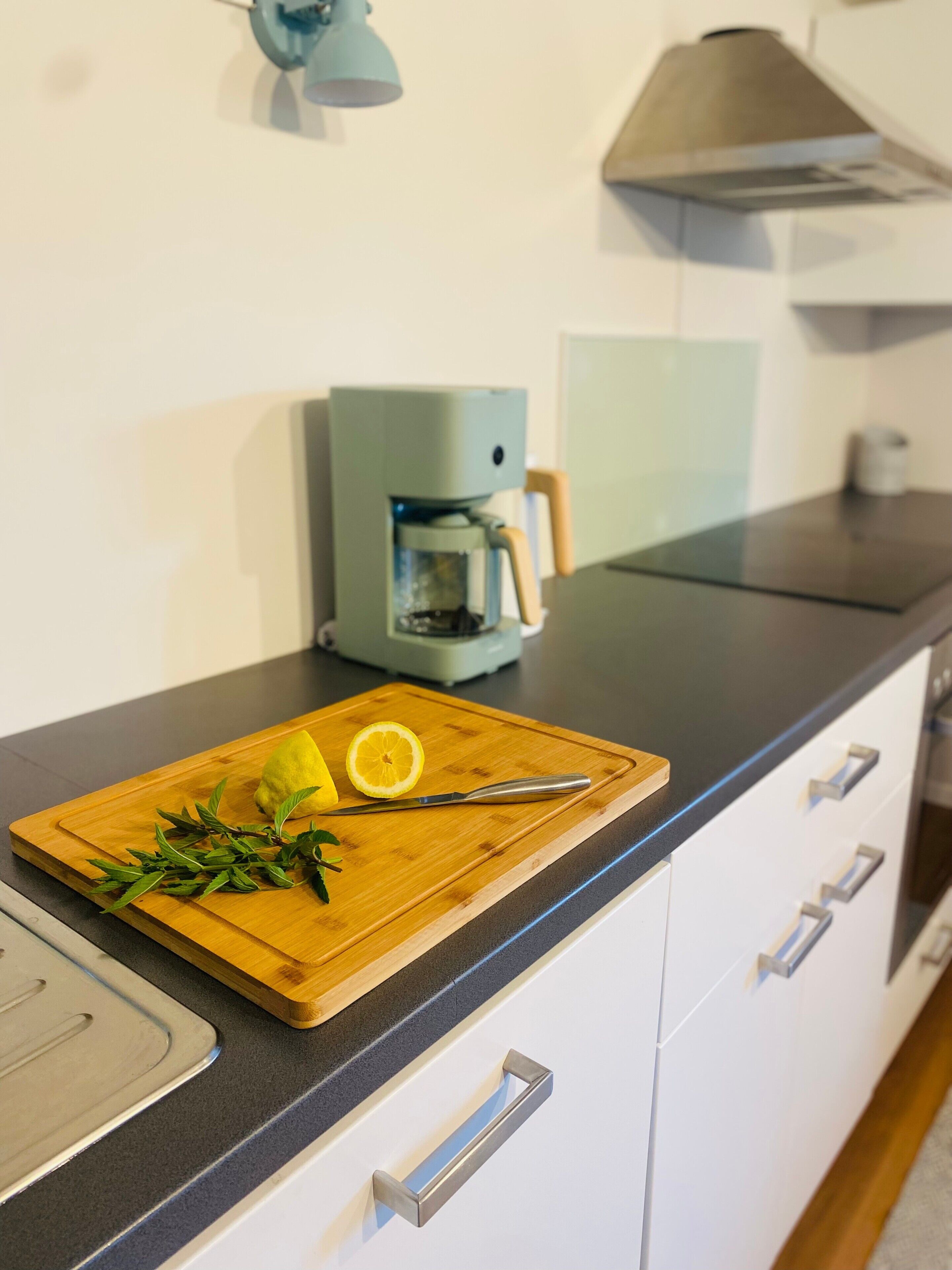 Een koelkast, een oven, een kookplaat, een vaatwasser