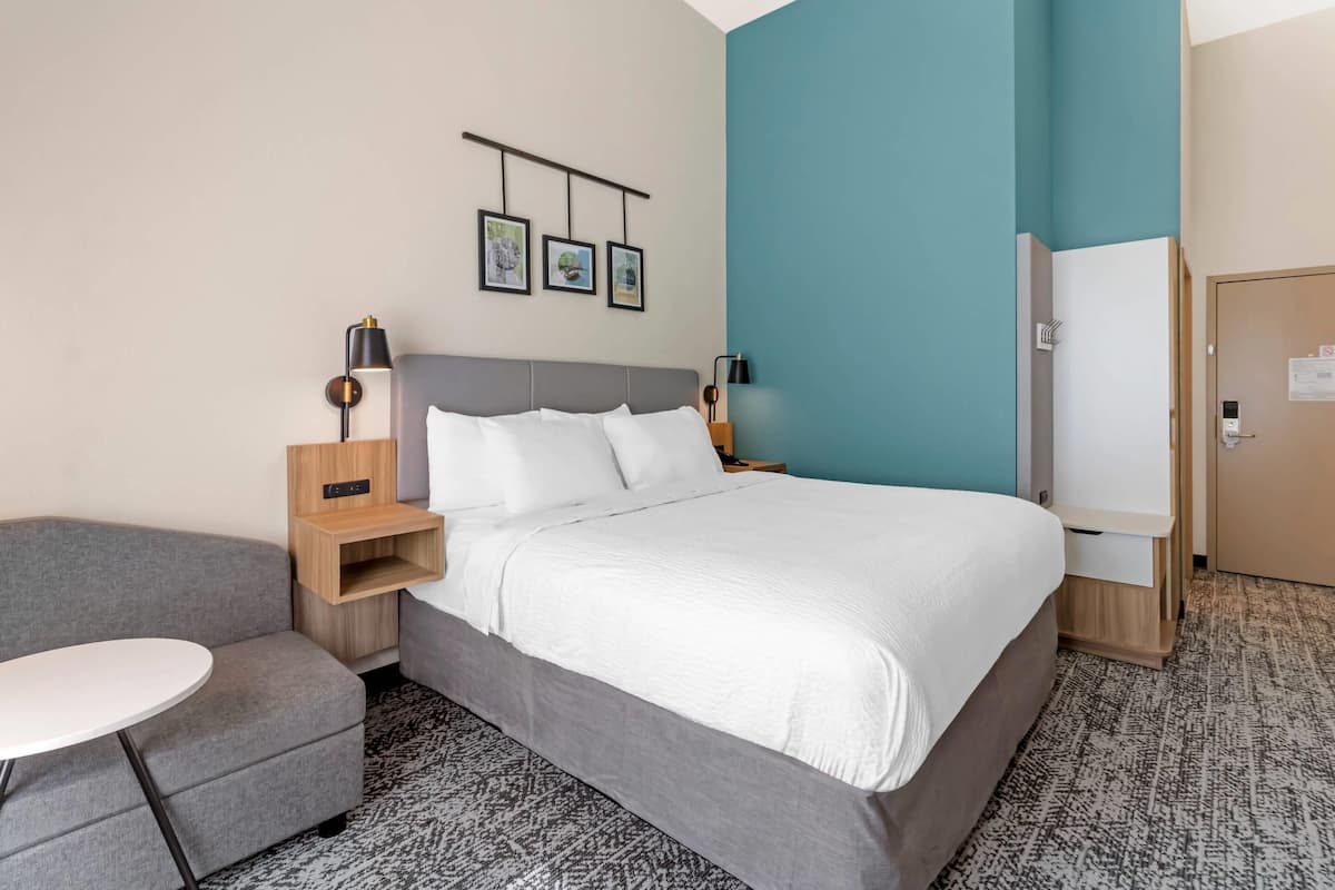Standard Room, 1 King Bed, Non Smoking | Premium bedding, individually decorated, individually furnished, desk