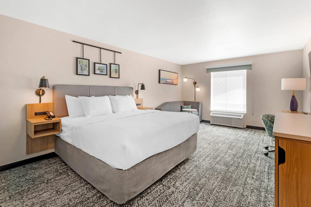 Standard Room, 1 King Bed with Sofa bed, Non Smoking | Premium bedding, individually decorated, individually furnished, desk