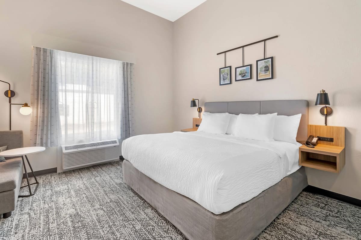 Premium bedding, individually decorated, individually furnished, desk