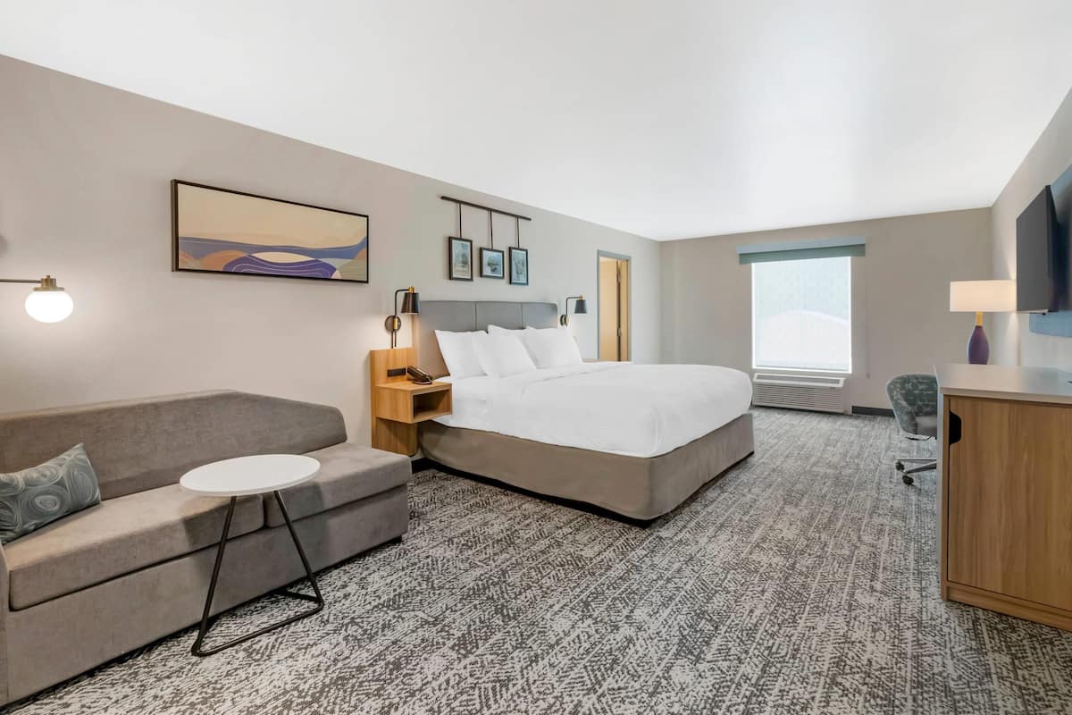 Room, 1 King Bed with Sofa bed, Accessible, Non Smoking | Premium bedding, individually decorated, individually furnished, desk