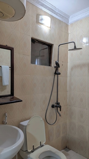 Shower, towels, toilet paper