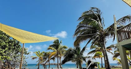 Beachfront 1-bdr 1-bath "Sea Breeze Suite" 100 ft from the Ocean with a Pool!
