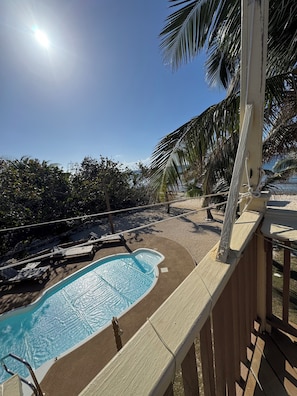Outdoor pool - Beachfront 1-bdr 1-bath "Coconut Palm Suite" 100 ft from the Ocean with a Pool! (West End)
