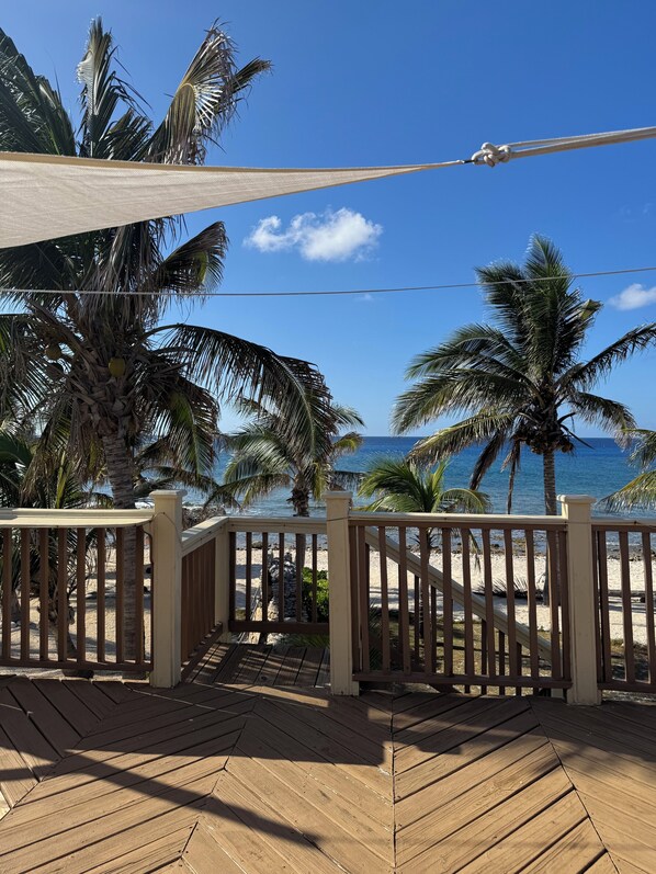 Property grounds - Beachfront 1-bdr 1-bath "Coconut Palm Suite" 100 ft from the Ocean with a Pool! (West End)