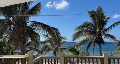 Beachfront 1-bdr 1-bath "Coconut Palm Suite" 100 ft from the Ocean with a Pool!