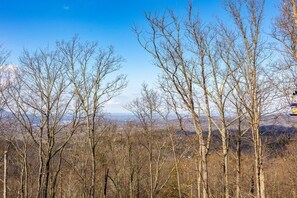 Cabin, 2 Bedrooms | Miscellaneous