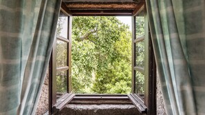 Una ventana con vista a un follaje verde y tupido.