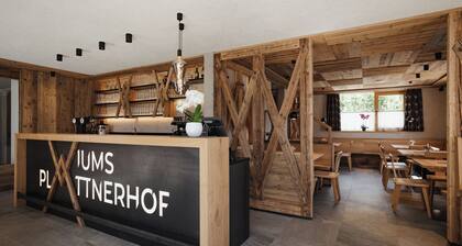 Spacious Alpine-style apartment with private garden and pool view.