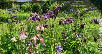 Jardin d'Apolline, charming house with enclosed garden