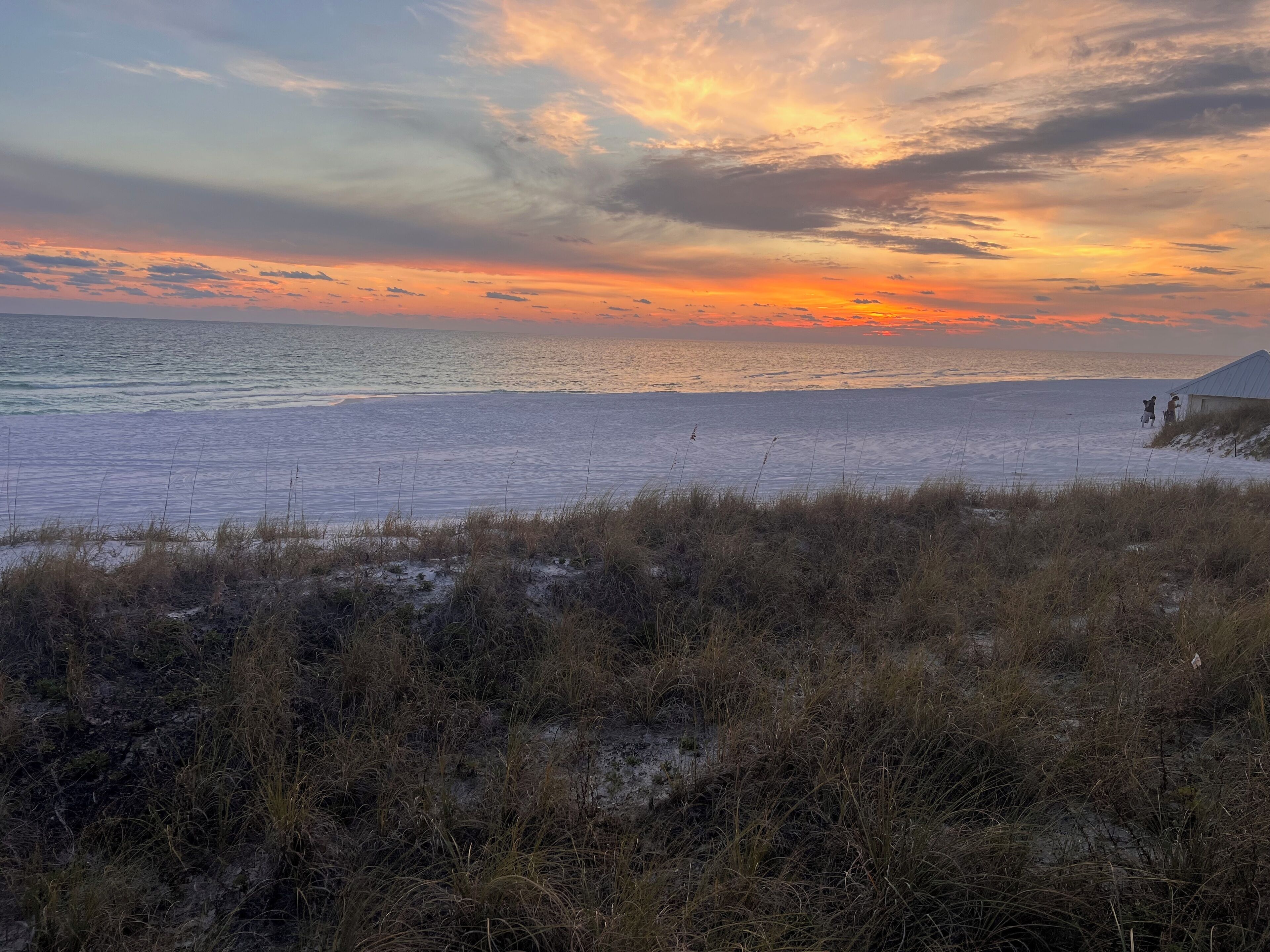 A beach with a sunset, grassy dunes, and a small structure in the distance.