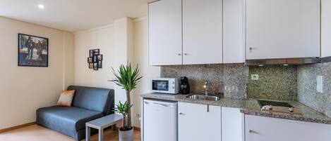 A compact living space with a kitchenette, a sofa, a small table, and a potted plant.