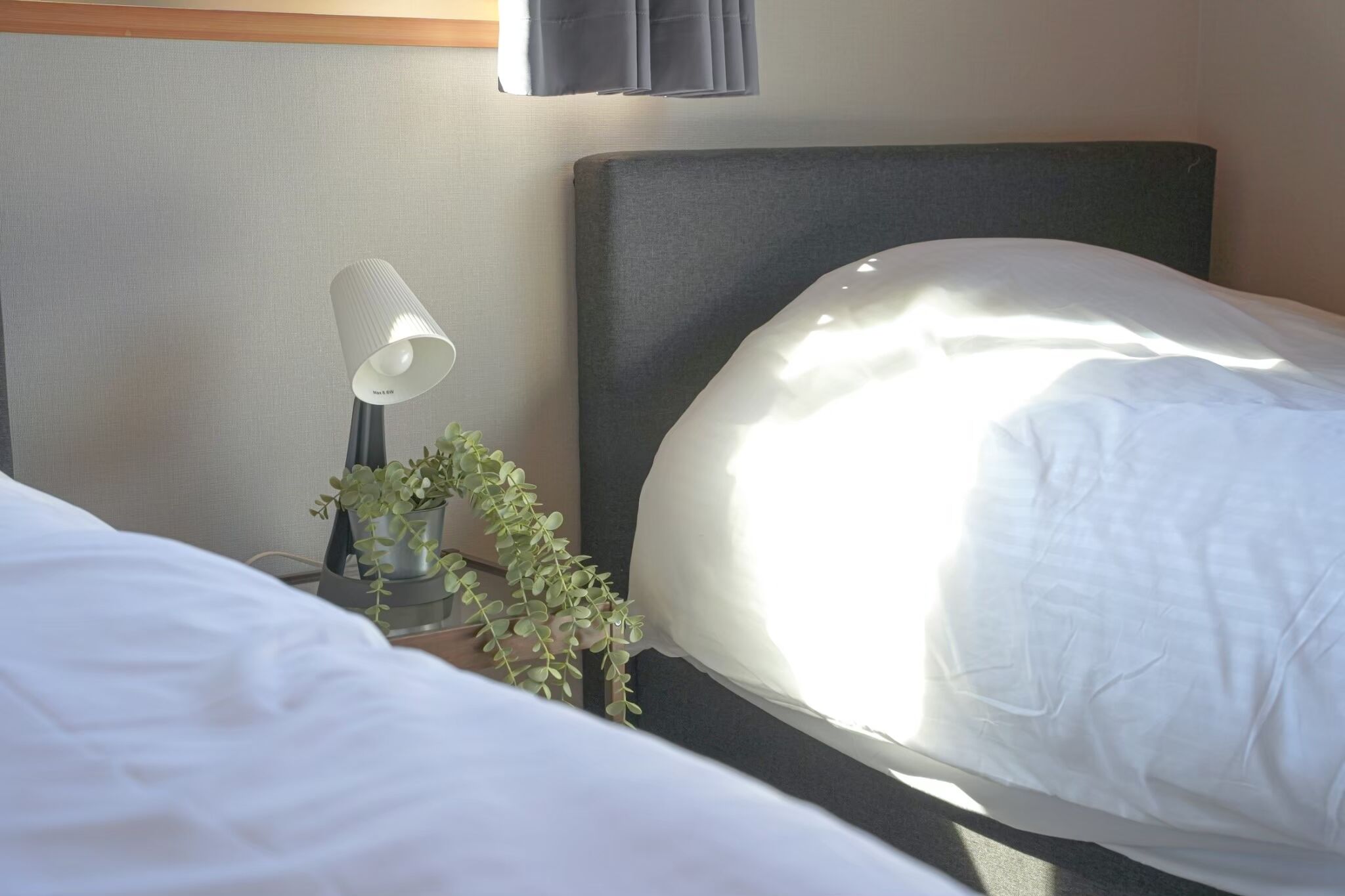 A hotel room with two beds, a bedside lamp, and a small potted plant.