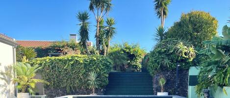 Desayuno completo incluido todos los días