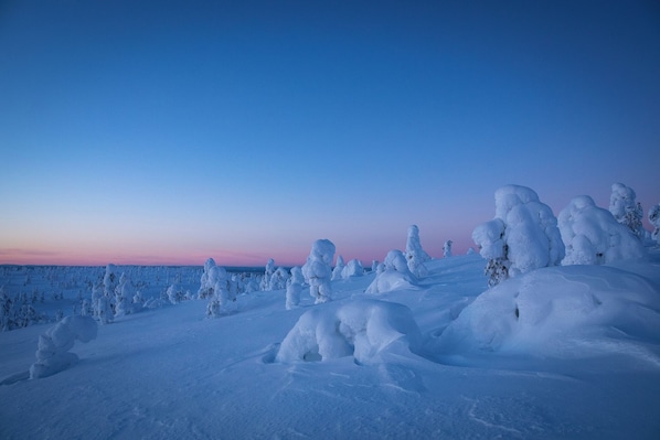 Hiking - Sielikkö Aurora Log Villas (Saariselkä)