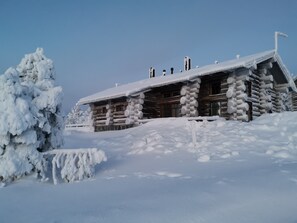 Villa, Hill View | Free WiFi - Sielikkö Aurora Log Villas (Saariselkä)
